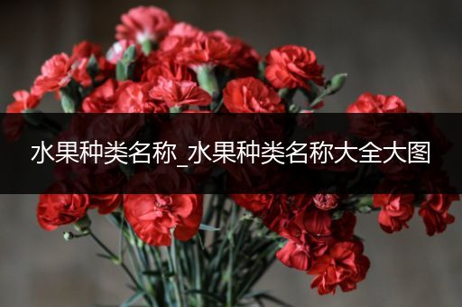 水果种类名称_水果种类名称大全大图