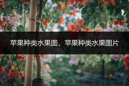 苹果种类水果图，苹果种类水果图片