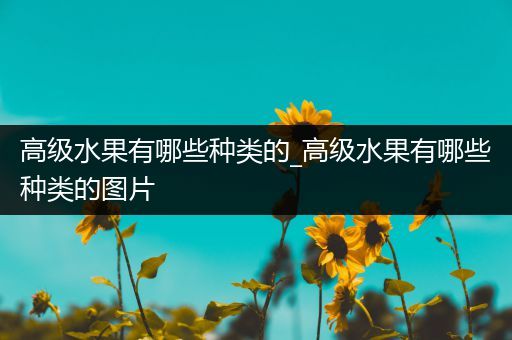 高级水果有哪些种类的_高级水果有哪些种类的图片