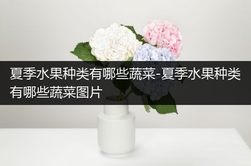 夏季水果种类有哪些蔬菜-夏季水果种类有哪些蔬菜图片