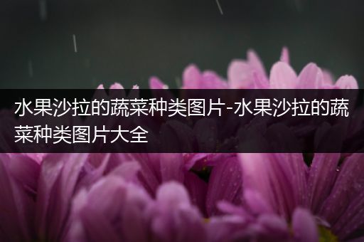 水果沙拉的蔬菜种类图片-水果沙拉的蔬菜种类图片大全