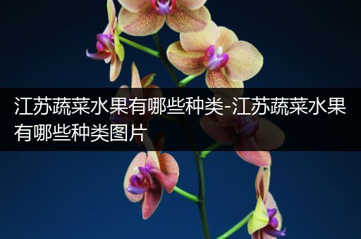 江苏蔬菜水果有哪些种类-江苏蔬菜水果有哪些种类图片