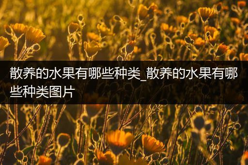 散养的水果有哪些种类_散养的水果有哪些种类图片