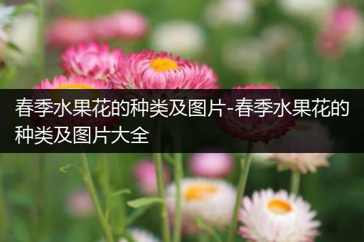 春季水果花的种类及图片-春季水果花的种类及图片大全