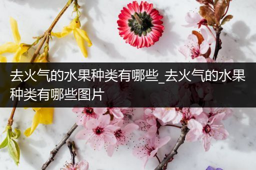 去火气的水果种类有哪些_去火气的水果种类有哪些图片