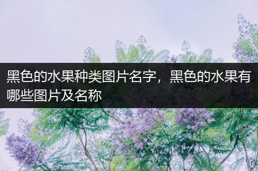 黑色的水果种类图片名字，黑色的水果有哪些图片及名称