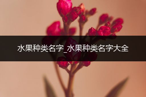 水果种类名字_水果种类名字大全