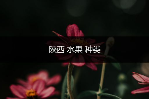 陕西 水果 种类