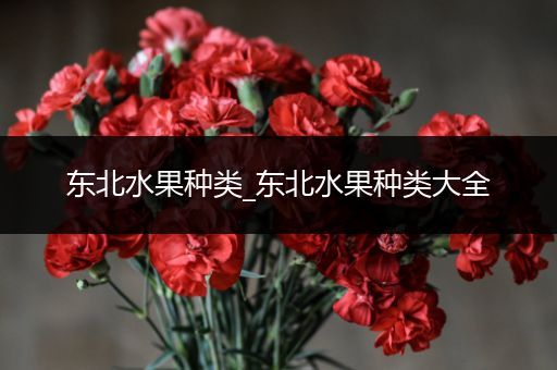 东北水果种类_东北水果种类大全