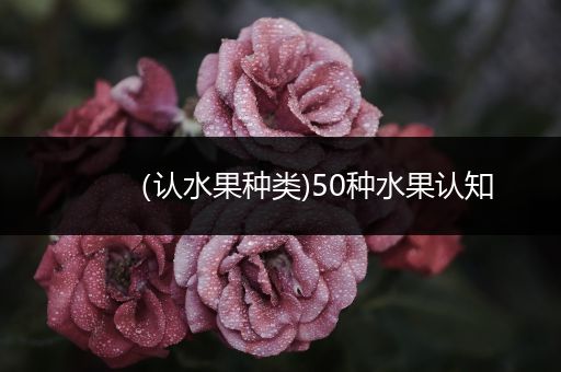 （认水果种类)50种水果认知