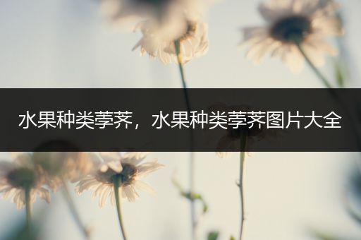 水果种类荸荠，水果种类荸荠图片大全