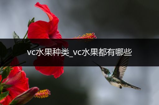 vc水果种类_vc水果都有哪些