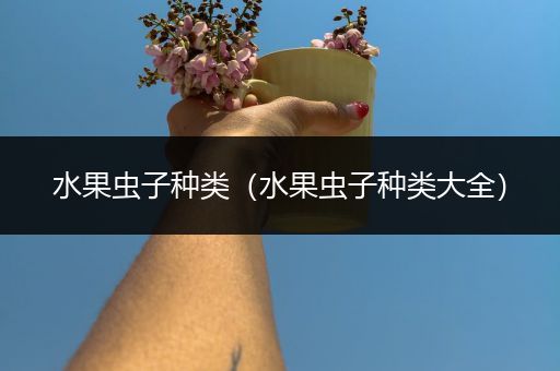 水果虫子种类（水果虫子种类大全）