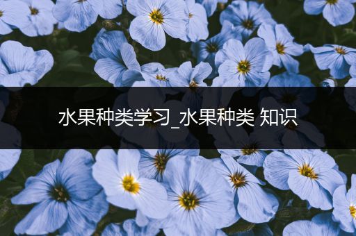 水果种类学习_水果种类 知识