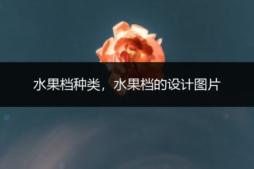 水果档种类，水果档的设计图片