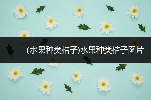 （水果种类桔子)水果种类桔子图片